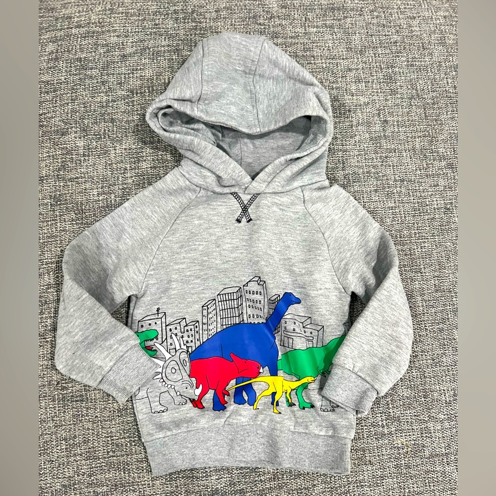 Gray Kids Hoodie with Colorful Dinosaur Print